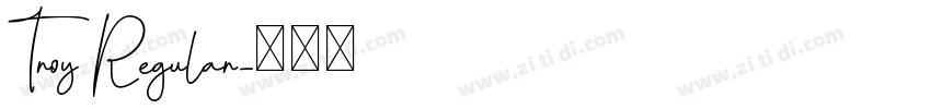 Troy Regular字体转换